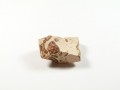 Leopardyt - kamień 28 g (